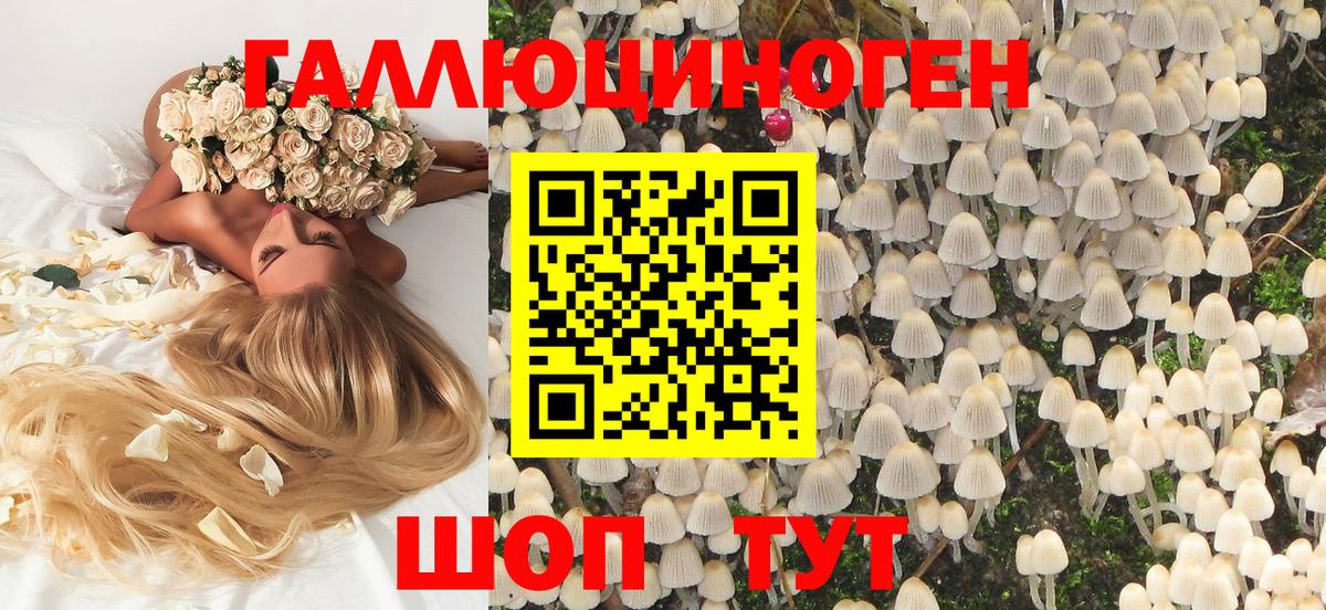 Орск  Псилоцибиновые грибы Psilocybine cubensis  Вход с VPN  магазин продажи наркотиков  Псилоцибиновые грибы Psilocybine cubensis 
